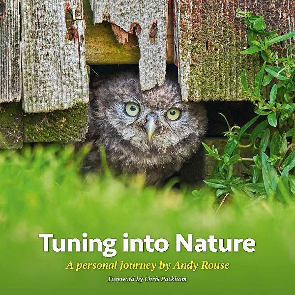 Andy Rouse Photographer Andy Rouse Photographer